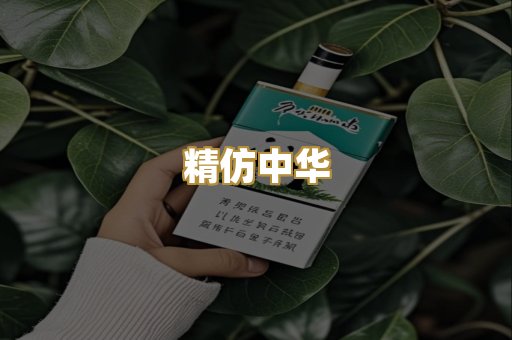 精仿中华